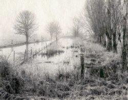 Marsh, OR ©1982