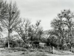 Near Perkinsville, AZ ©1988