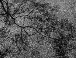 Cracks In The Fabric Of Our Conciousness ©2023