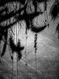 Shadow Graffiti I ©2021