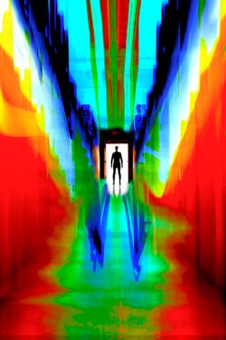 Arrival-©-dD-2018